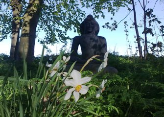 Meditation Place in the Garden